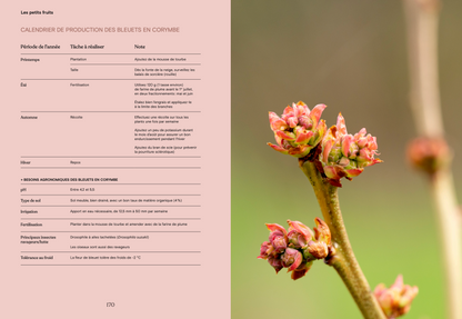 Livre « La fleur et le fruit – Réussir son jardin fruitier au Québec »