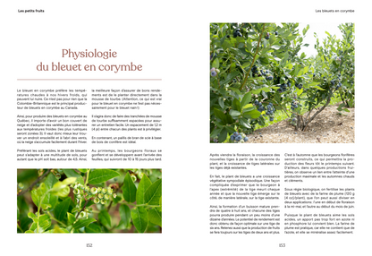 Livre « La fleur et le fruit – Réussir son jardin fruitier au Québec »