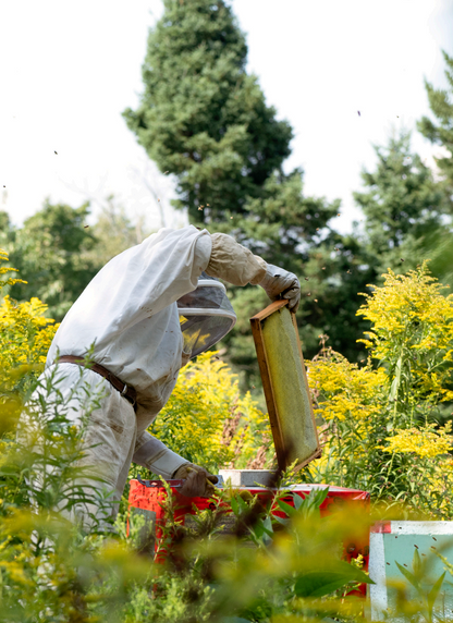 Livre « La fleur et le fruit – Réussir son jardin fruitier au Québec »