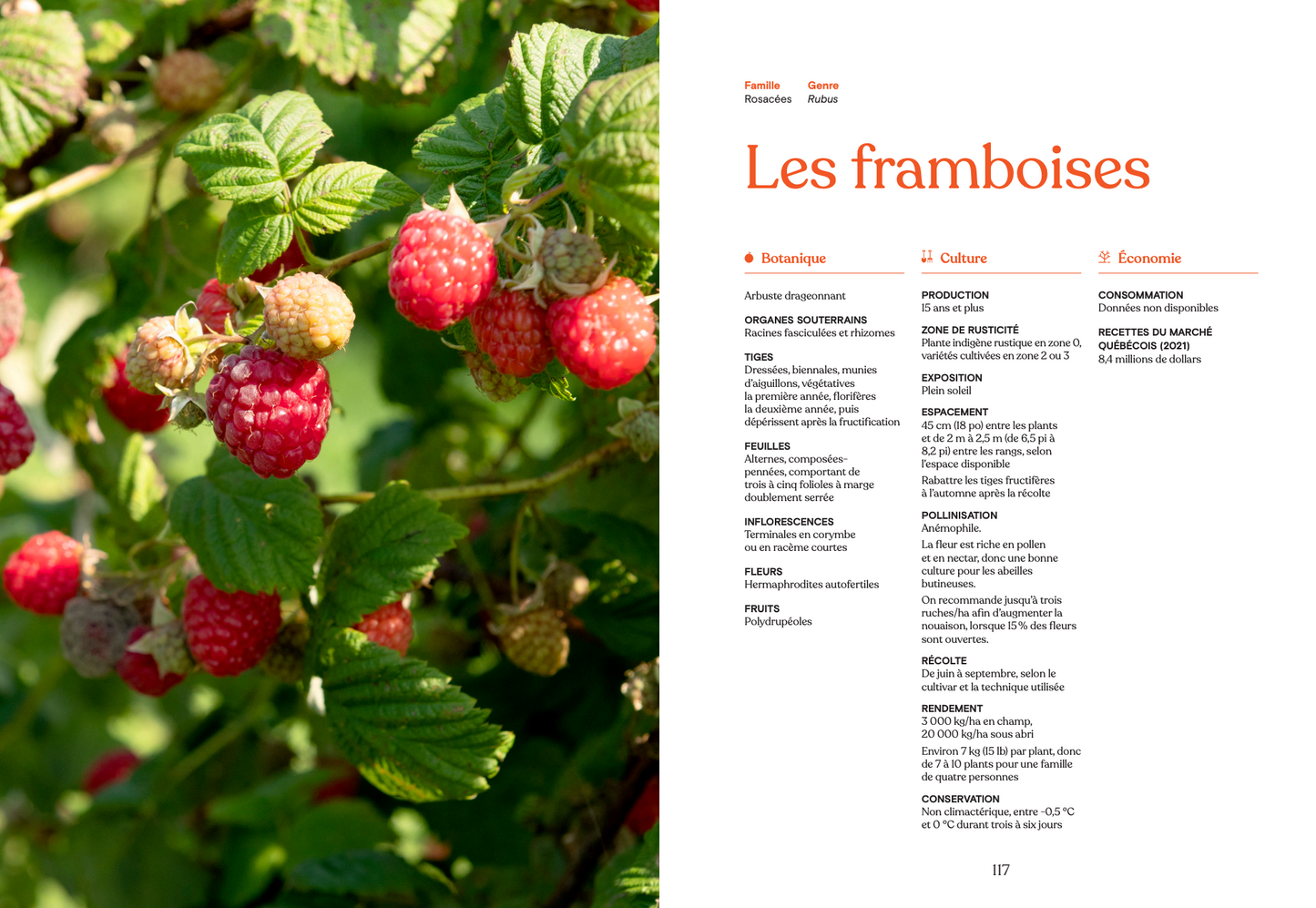 Livre « La fleur et le fruit – Réussir son jardin fruitier au Québec »