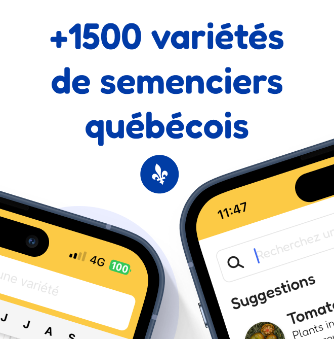 Un an d'accès à l'application La Main Verte