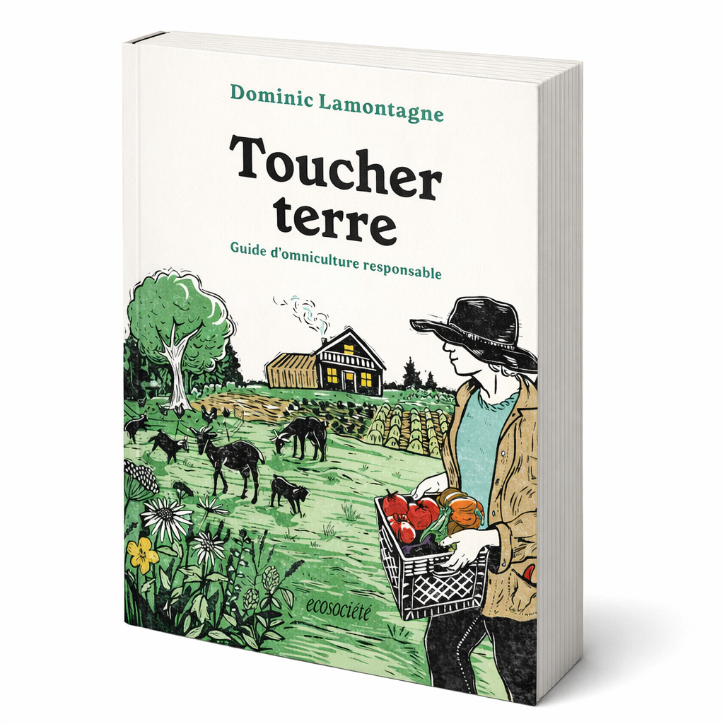 Livre « Toucher terre » de Dominic Lamontagne